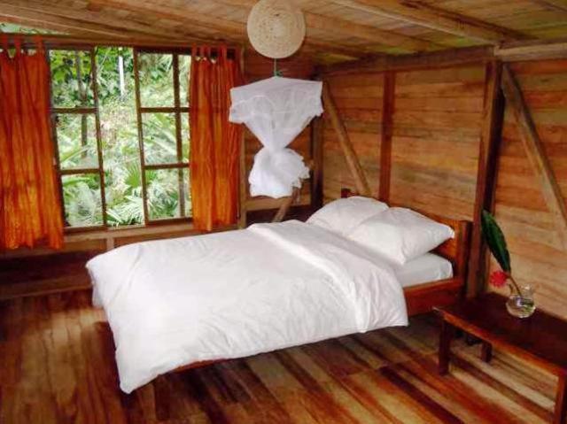 Huella Verde Rainforest Lodge Canelos Quarto foto