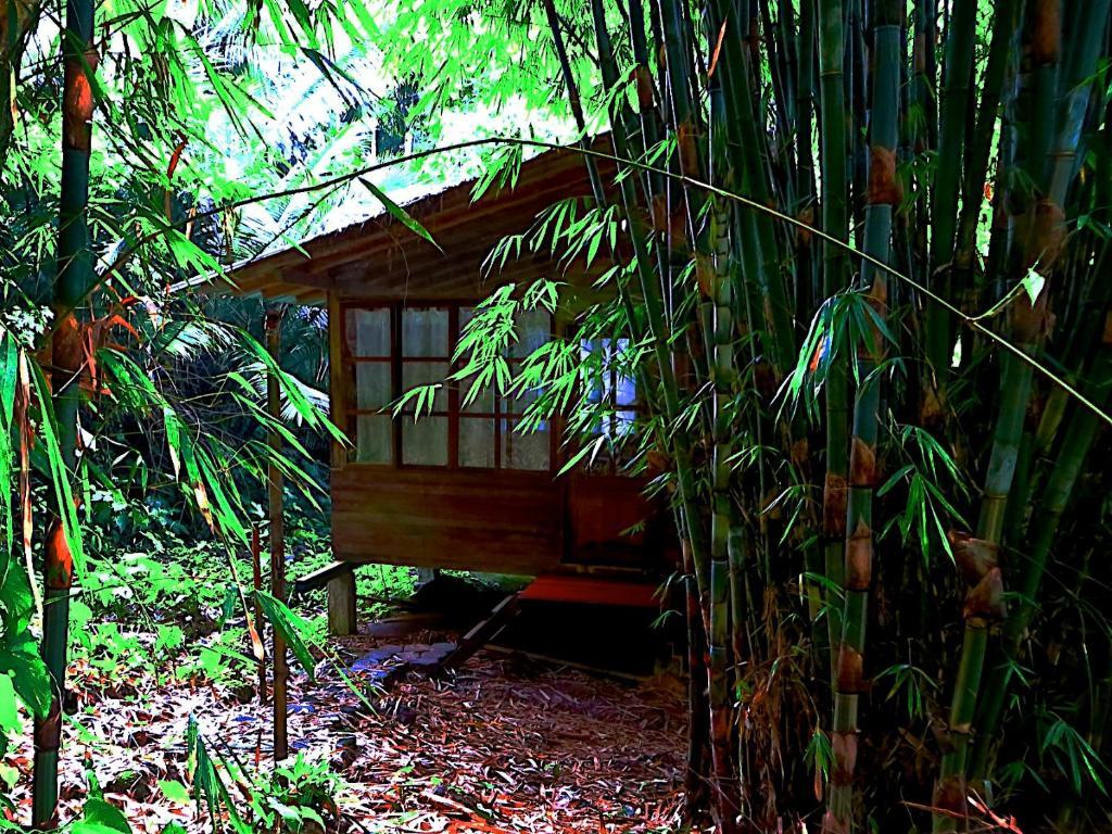 Huella Verde Rainforest Lodge Canelos Quarto foto